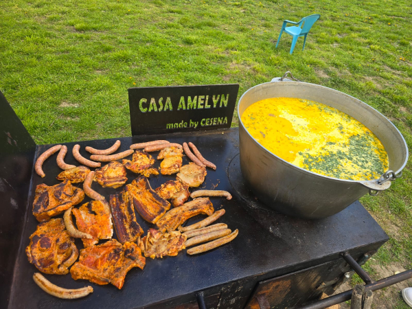 cazare Casa Amelyn poza